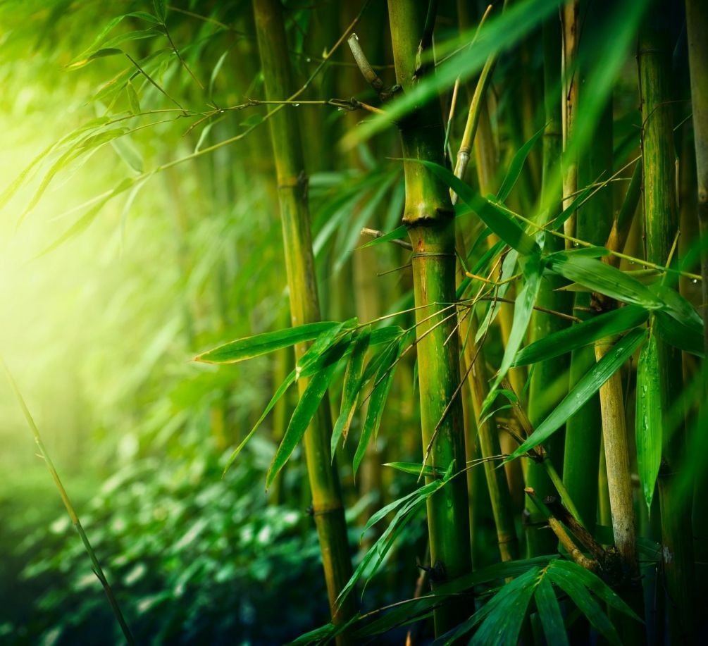 бамбуковый халат